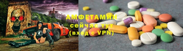 спиды Кедровый