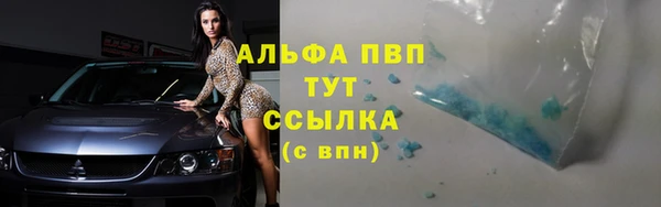 спиды Кедровый