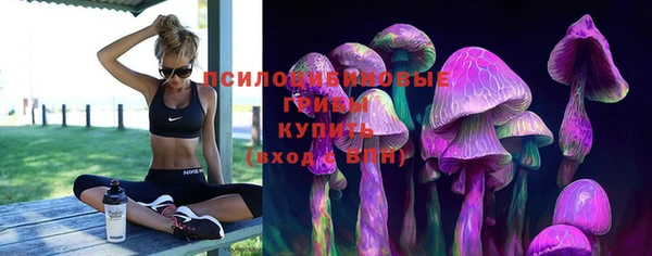 спиды Кедровый